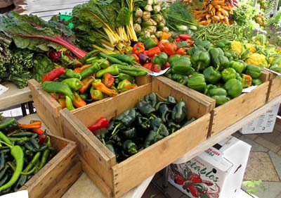 Swamp Creek Produce: Organic Farming Pros And Cons Image